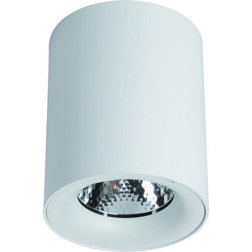 Светильник ARTE Lamp ARTELAMP-A6769PL-2CC
