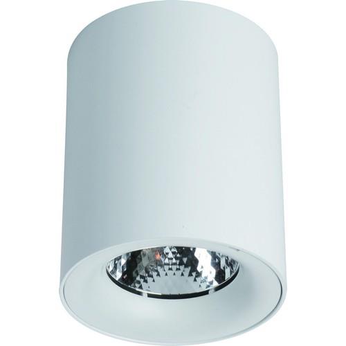 Светильник ARTE Lamp ARTELAMP-A5130PL-1WH