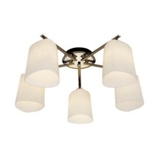 Фотография CL146151