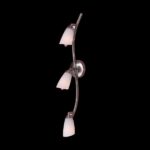CL501531
