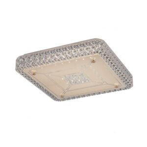 Фотография CL705221