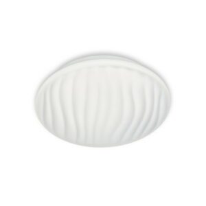 Фотография CL72012