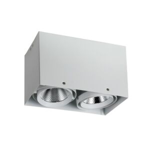 Фото светильника Favourite 1986-2U