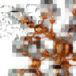 2061-36P