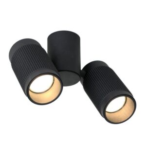 Фото светильника Favourite 2452-2U