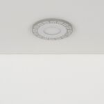 DSS002 6W 4200K
