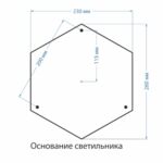 Cassiopeya F/3
